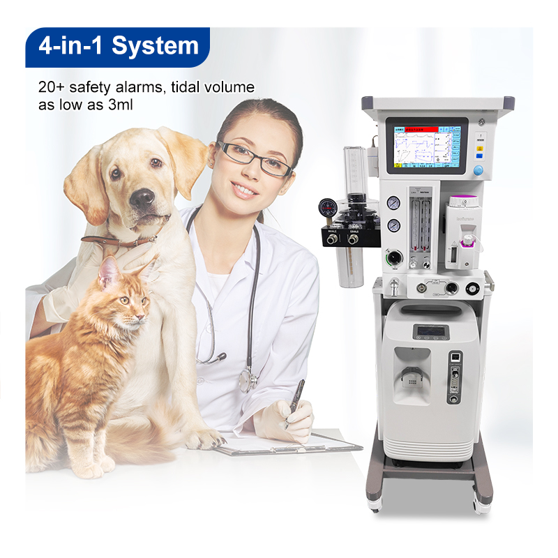 OliveVet Veterinary Equipment