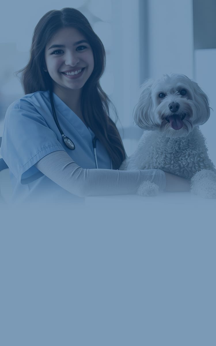 Olivevet About Us Banner Mobile